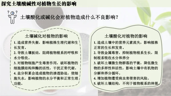 跨学科实践活动9  探究土壤酸碱性对植物生长的影响课件(共33张PPT)
