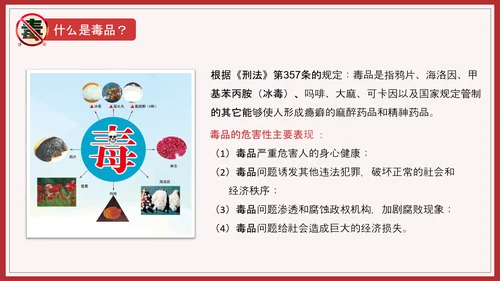 远离犯罪青少年禁毒宣言教育PPT课件