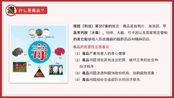 远离犯罪青少年禁毒宣言教育PPT课件