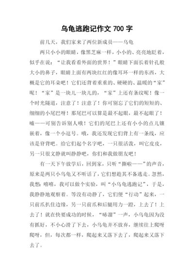 乌龟逃跑记作文700字.docx