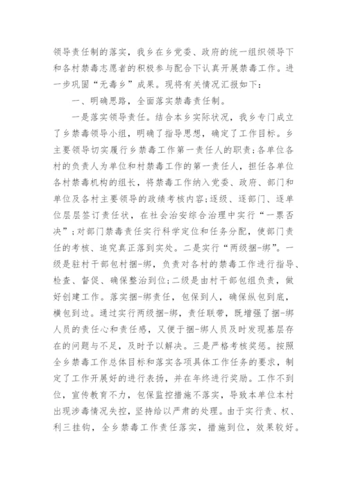 乡镇禁毒工作总结.docx