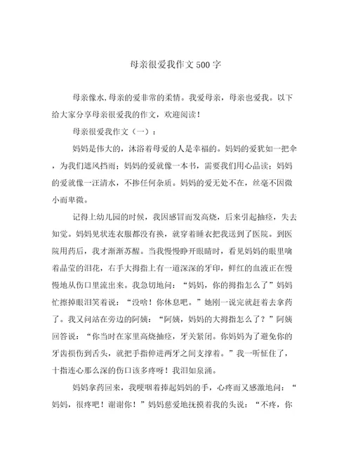 母亲很爱我作文500字