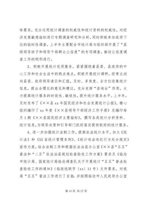 统计局XX年上半年工作总结及下半年工作计划 (2).docx