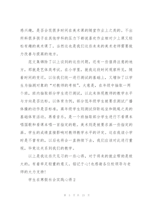 学生在寒假社会实践心得范文10篇.docx