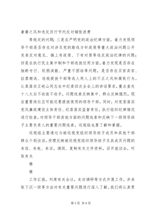 县巡视整改工作动员会讲话 (3).docx