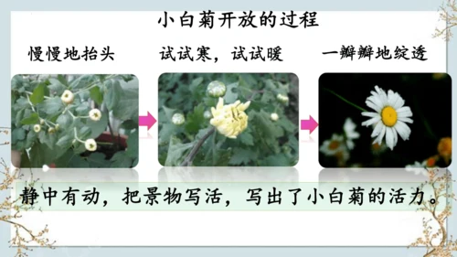 12《在天晴了的时候》课件