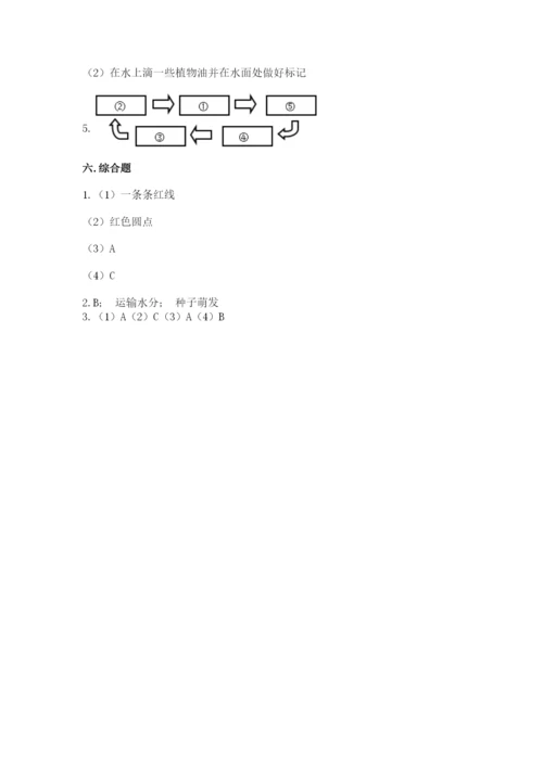 科学四年级下册第一单元植物的生长变化测试卷及参考答案（名师推荐）.docx