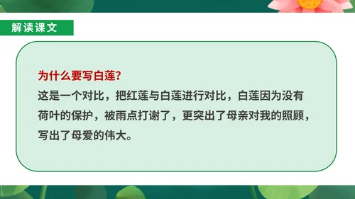 绿色小清新语文初一荷叶母亲课件PPT模板