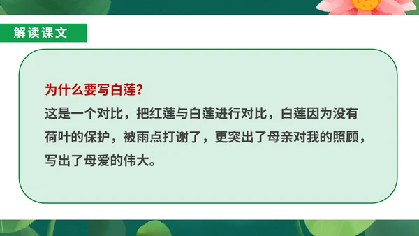 绿色小清新语文初一荷叶母亲课件PPT模板