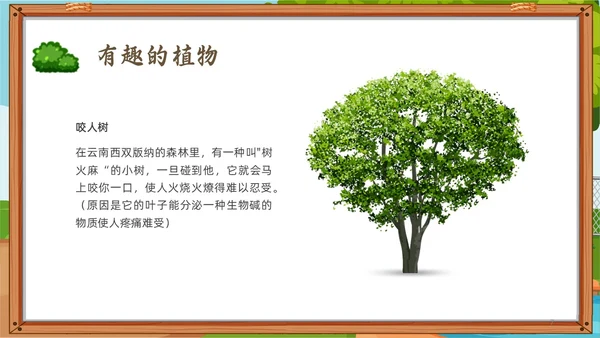 绿色小清新趣味科普小讲堂PPT课件主题班会