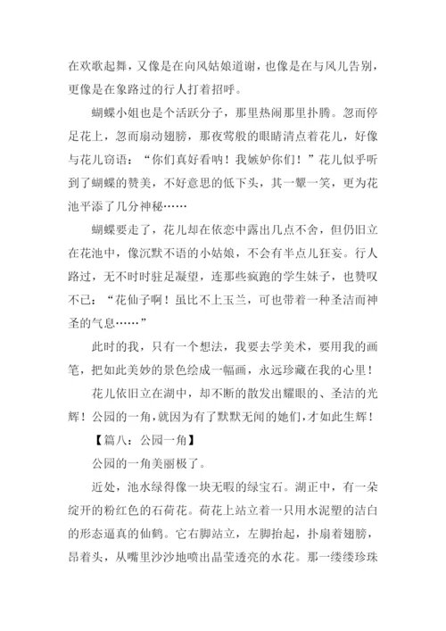 四年级作文公园一角-1.docx
