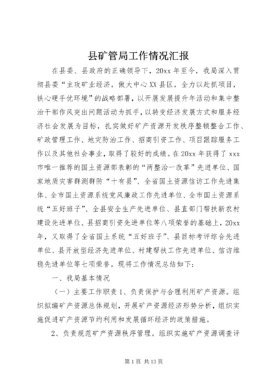 县矿管局工作情况汇报.docx