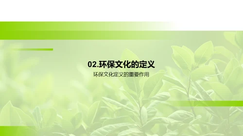 环保文化：新时代的呼唤