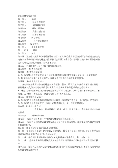 分公司财务管理办法.docx