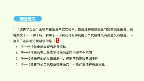 7.2.3基因的显性和隐性课件-人教版生物八年级下册(共31张PPT)
