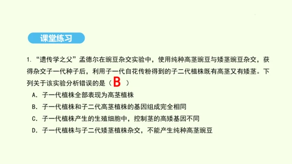7.2.3基因的显性和隐性课件-人教版生物八年级下册(共31张PPT)