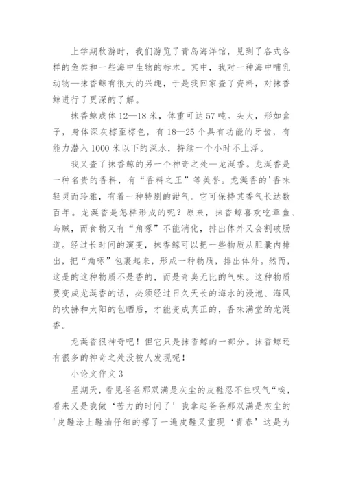 小论文作文精编.docx