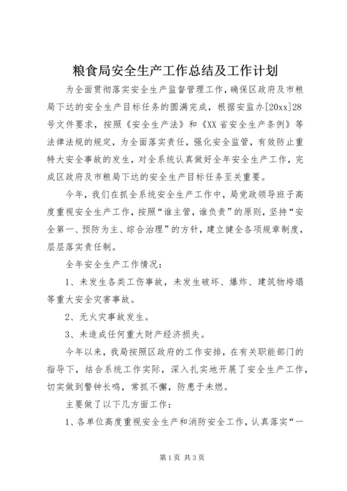 粮食局安全生产工作总结及工作计划 (2).docx