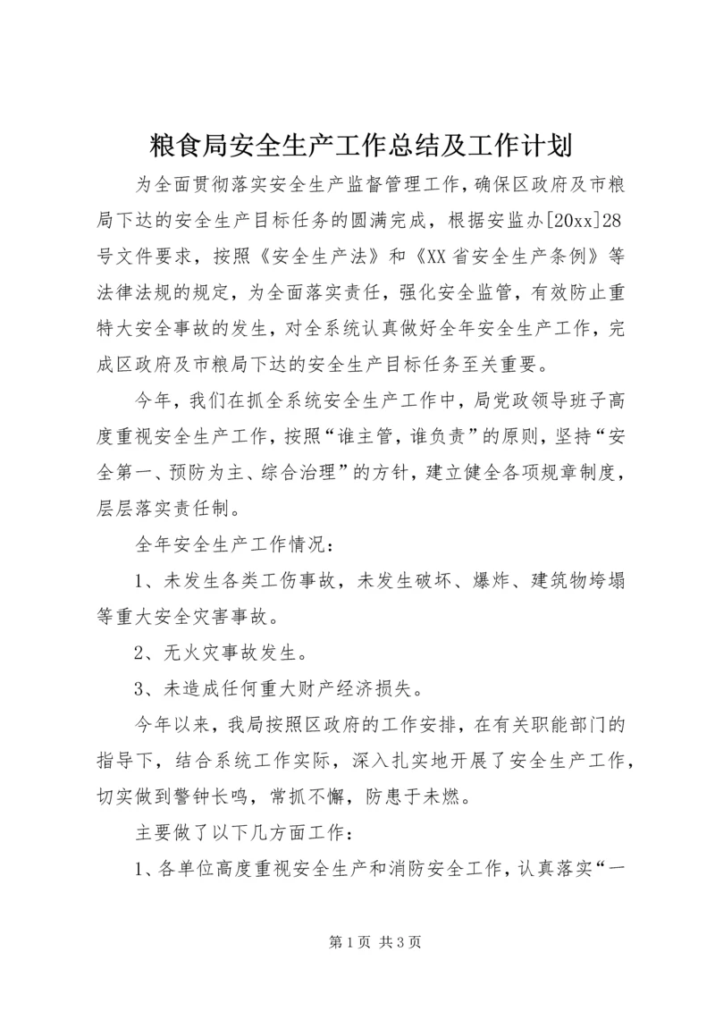 粮食局安全生产工作总结及工作计划 (2).docx