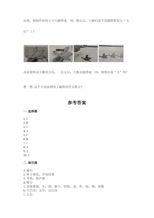 教科版二年级下册科学期末测试卷【word】.docx