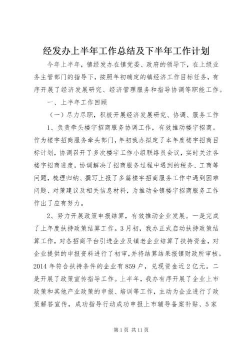 经发办上半年工作总结及下半年工作计划.docx