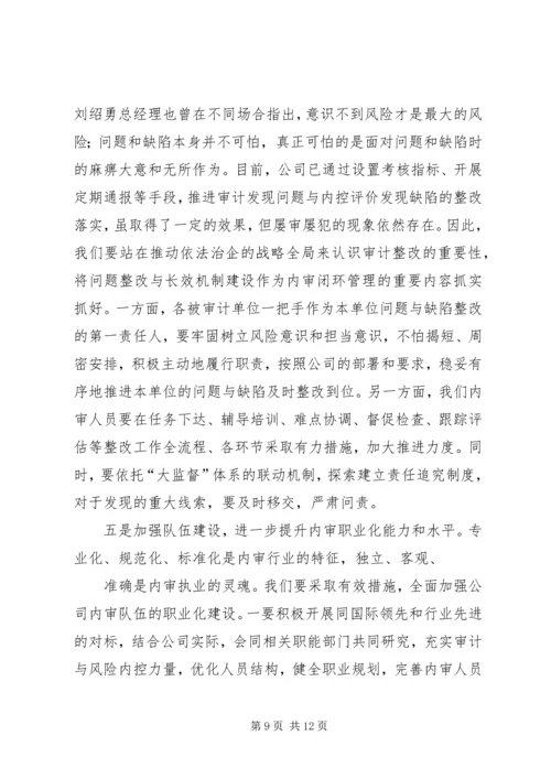 内审分管领导讲话(精).docx