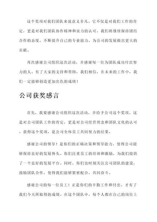 公司活动组织人获奖感言