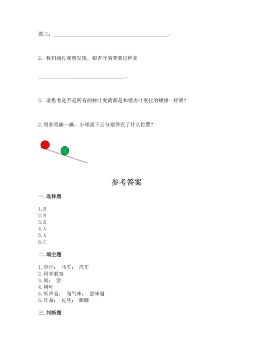 苏教版一年级上册科学期末测试卷（完整版）.docx