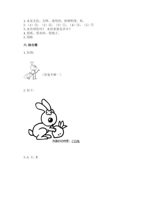 教科版一年级下册科学期末测试卷（必刷）.docx