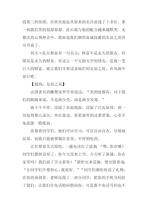 友谊之花作文800字.docx