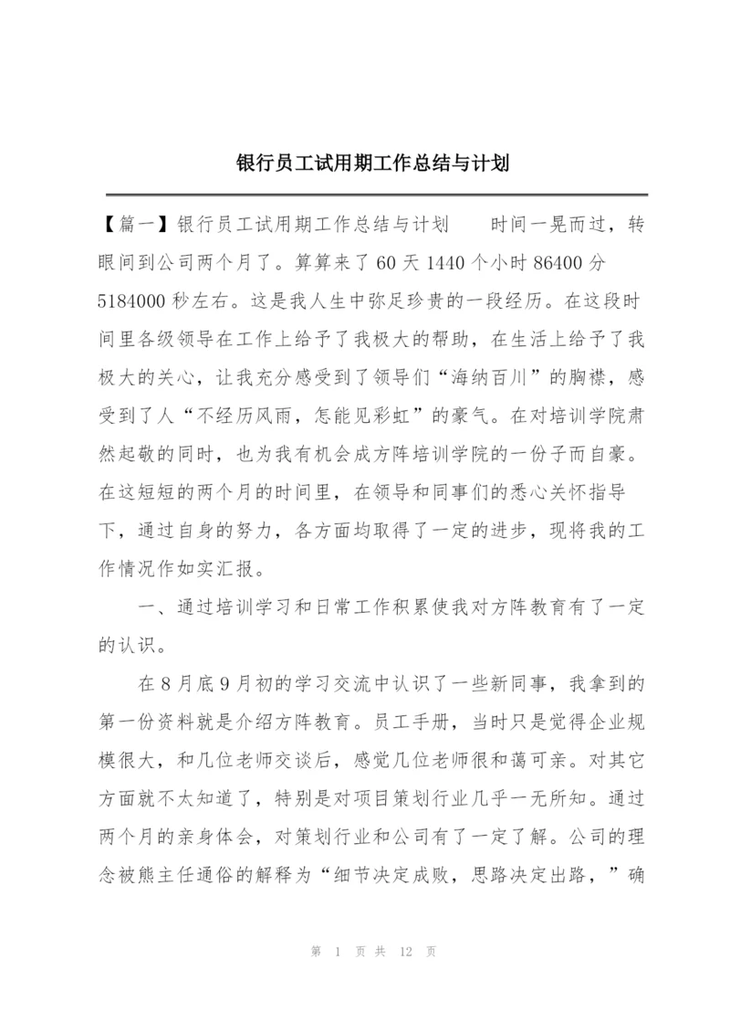 银行员工试用期工作总结与计划.docx