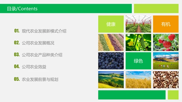 水果蔬菜农业招商农产品宣传通用PPT模板