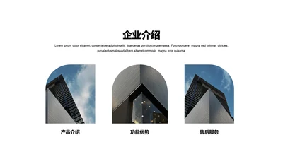 单色扁平3项企业介绍