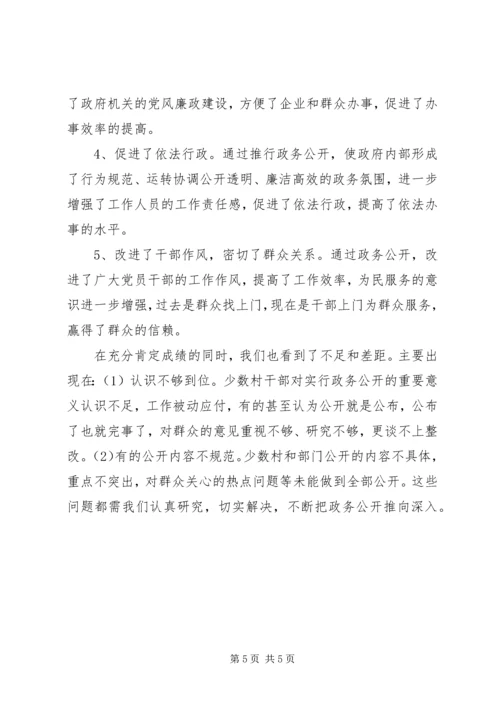 乡镇政务公开小结汇报材料.docx