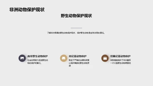 探索非洲野生动物之旅