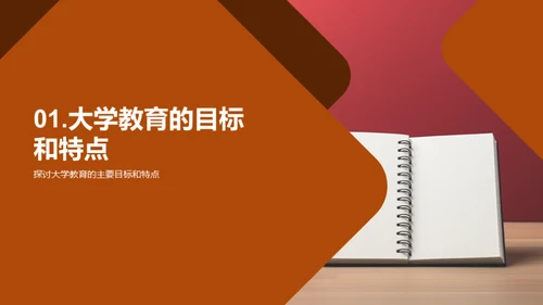 大学教育挑战与策略