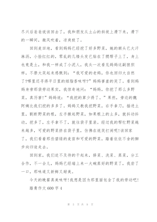 踏青作文600字5篇.docx