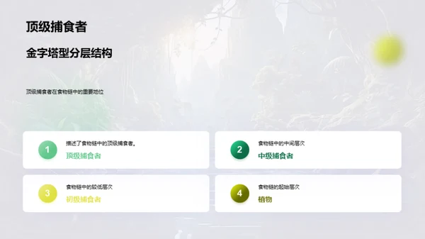 探秘动物世界