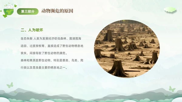 绿色清新剪纸风保护濒危动物拯救美好生命主题PPT世界动物日