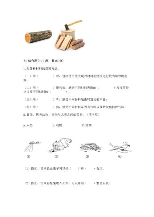 教科版二年级上册科学期末测试卷及参考答案【达标题】.docx