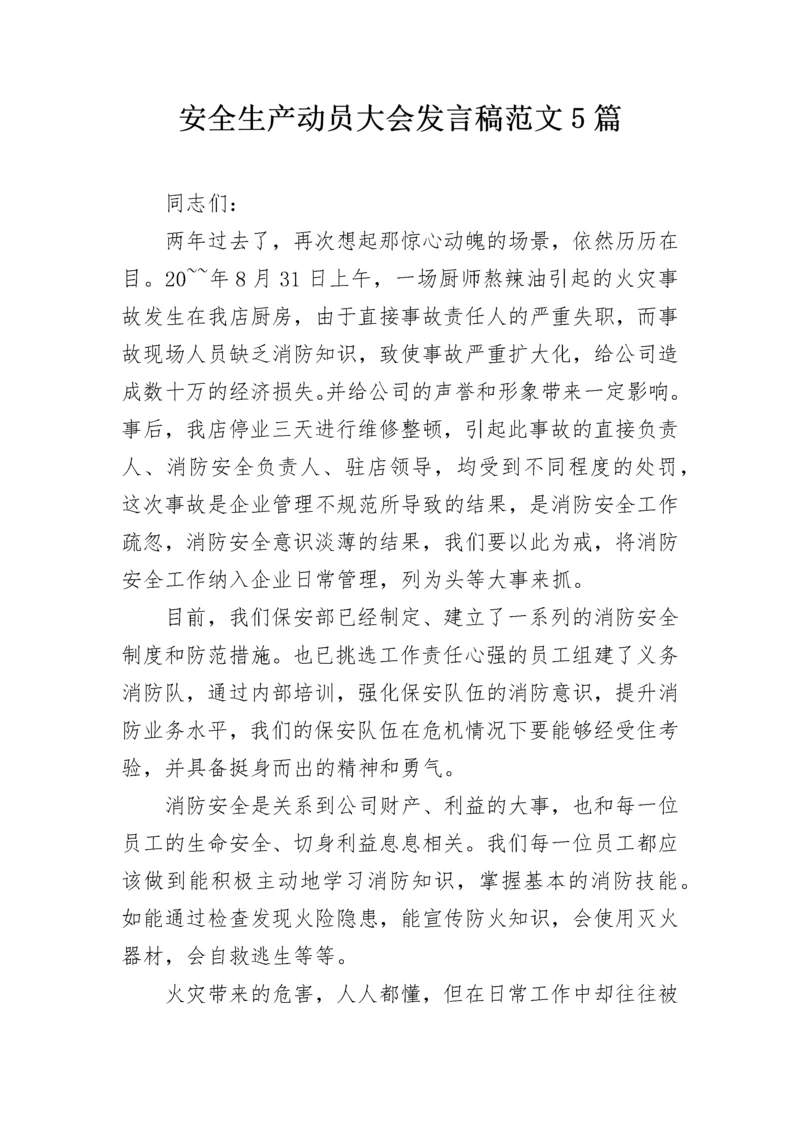 安全生产动员大会发言稿范文5篇.docx