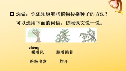 3 植物妈妈有办法  课件