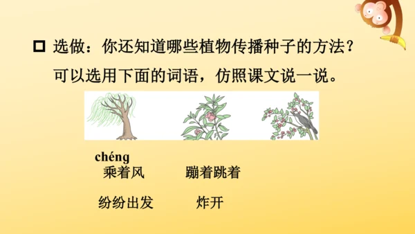 3 植物妈妈有办法  课件
