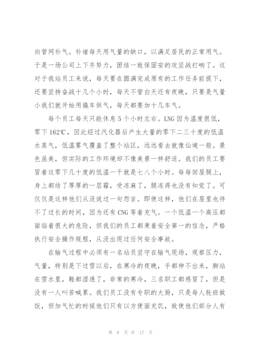 天然气公司个人总结5篇.docx