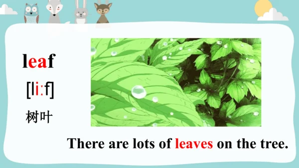 Module4Unit 2 My favourite season is spring. 课件(共4