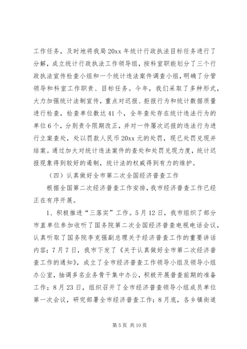 统计工作总结及工作计划精编.docx
