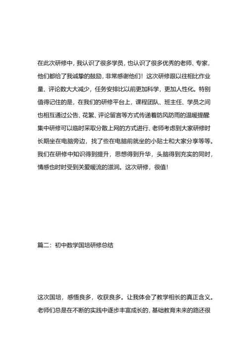 初中数学国培研修总结.docx
