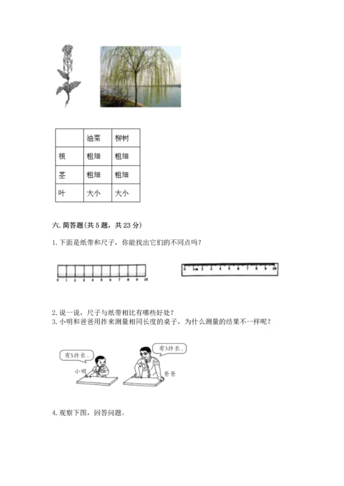 教科版一年级上册科学期末测试卷精品【夺冠系列】.docx