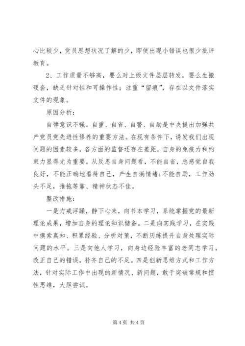 党支部某年主题教育检视问题剖析材料.docx
