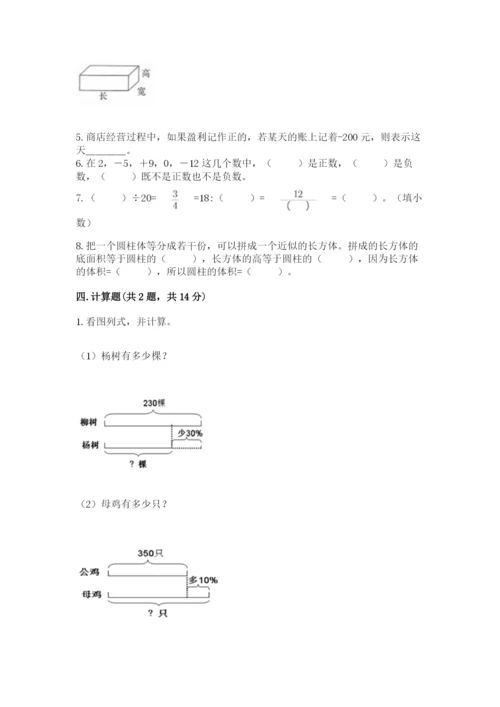 人教版六年级下册数学期末测试卷带答案（a卷）.docx